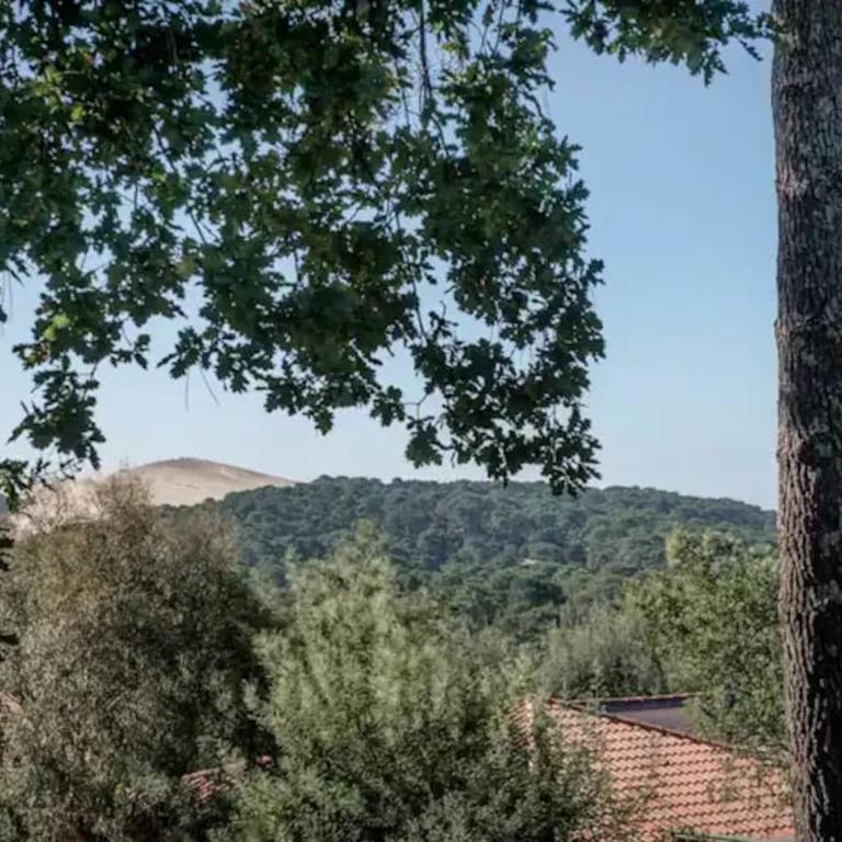 Pyla Villa DE LA DUNE Promo 2026 - Villa - 10