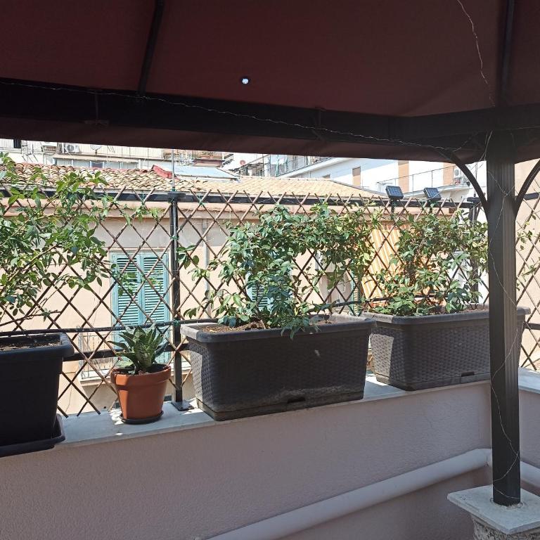 A&C GOLD DIAMOND - Appartamentino su 2 Livelli - 62