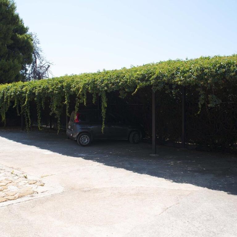 S.Giorgio Apartments - Apartment with Sea View - 5