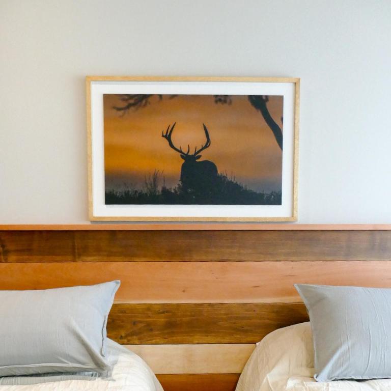 Araucaria amplio departamento en la mejor ubicacion - Two-Bedroom Apartment - 30