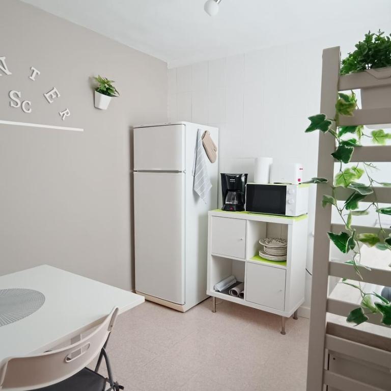 CENTER Santa Cruz, Alojamiento céntrico con gran terraza, cocina , salón y baños, todo privado - Apartamento de 1 dormitorio - 33