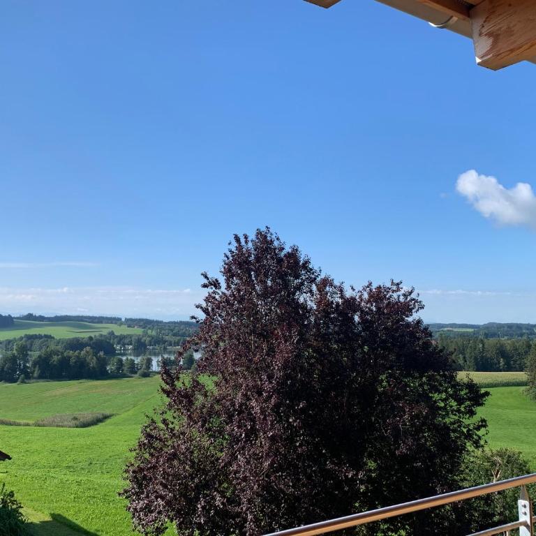 Ferienwohnungen mama ELVA - Apartment mit 2 Schlafzimmern - 17