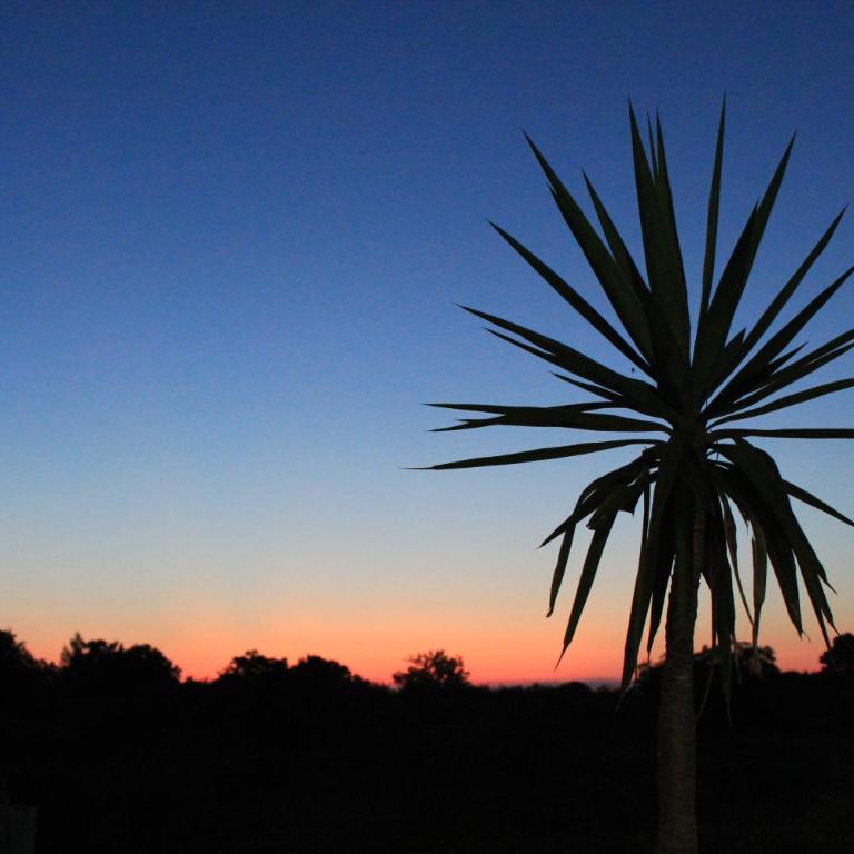 Trullo MA' - Casa con 1 Camera da Letto - 31