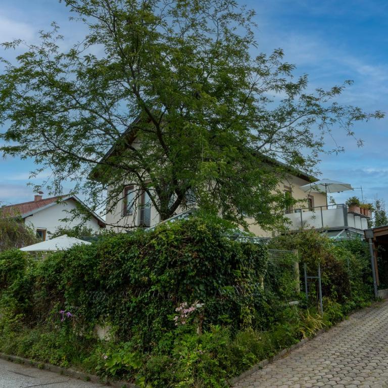 Ferienhaus Tolazzi - Haus mit 2 Schlafzimmern - 11