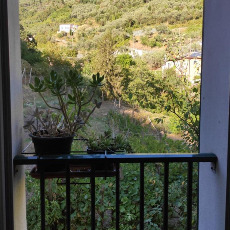 Soleluna - Appartamento con 2 Camere da Letto - 4