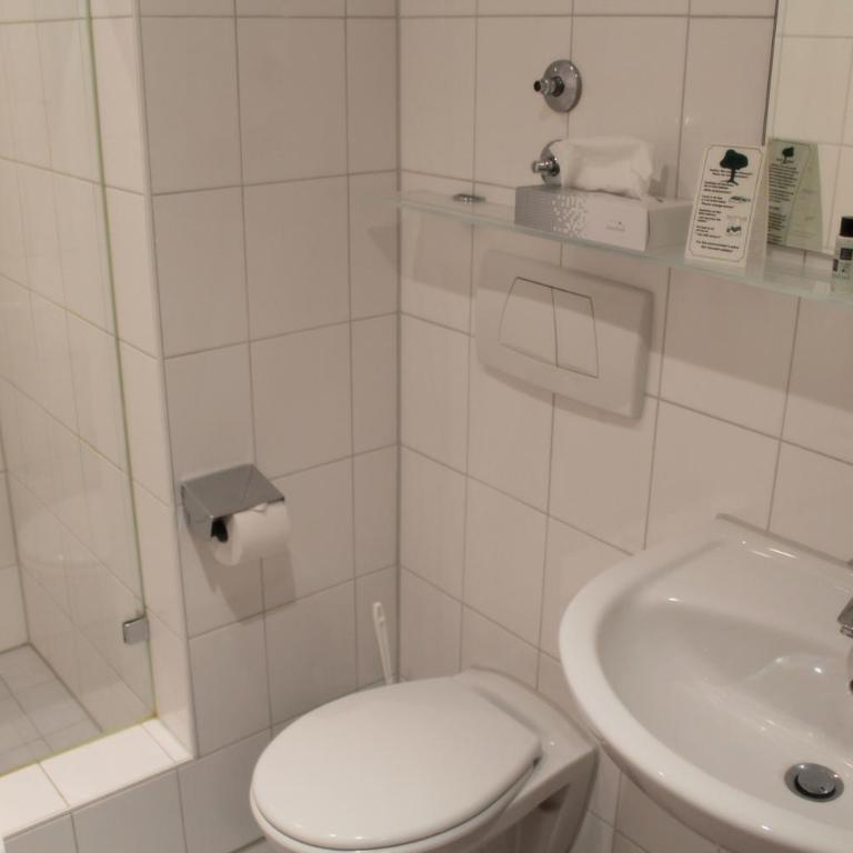 Steichele Hotel & Weinrestaurant - Chambre Double - 7