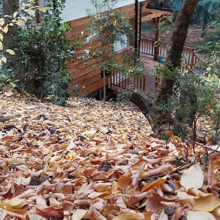 Cabaña Llavu Lemu - Chalet - 9