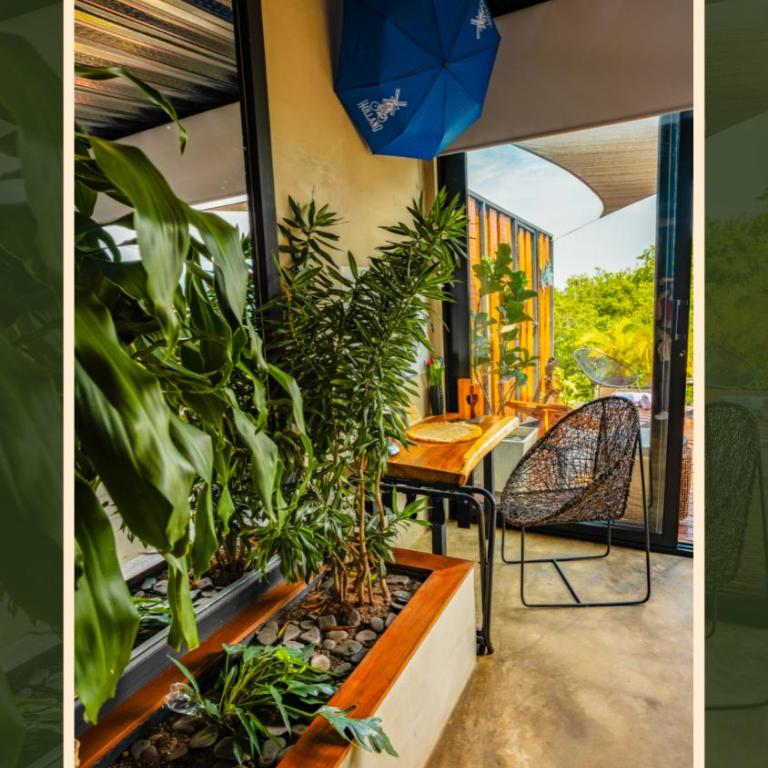 Ecoresort Colombo Holandes - Suite con vistas a la montaña - 5