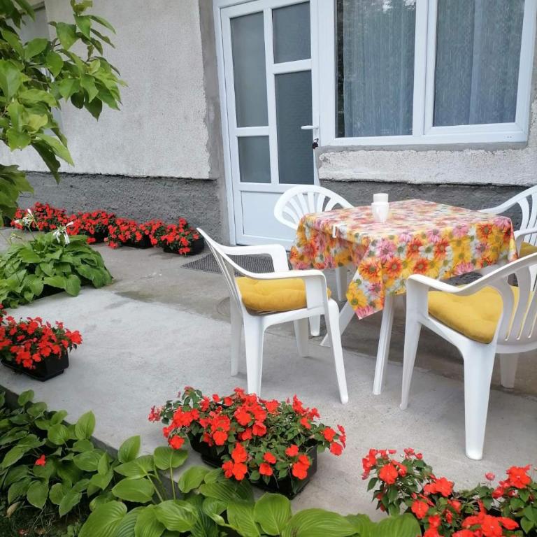 Pavicevic - One-Bedroom Apartment - 1