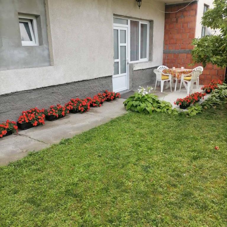 Pavicevic - Apartman sa 1 Spavaćom Sobom - 5