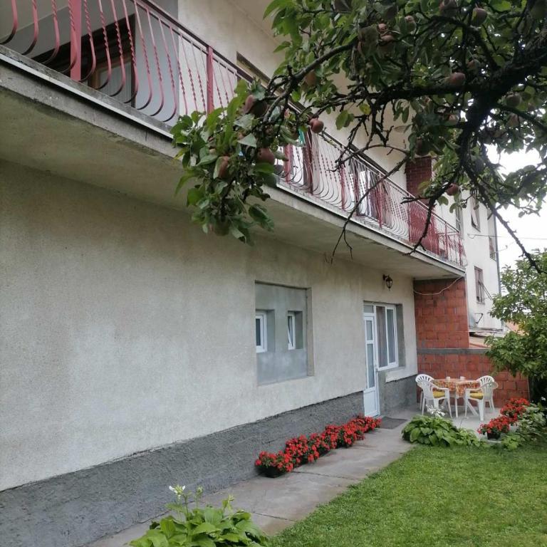Pavicevic - One-Bedroom Apartment - 2