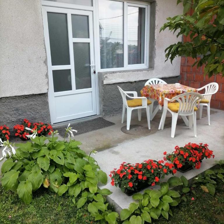Pavicevic - One-Bedroom Apartment - 4
