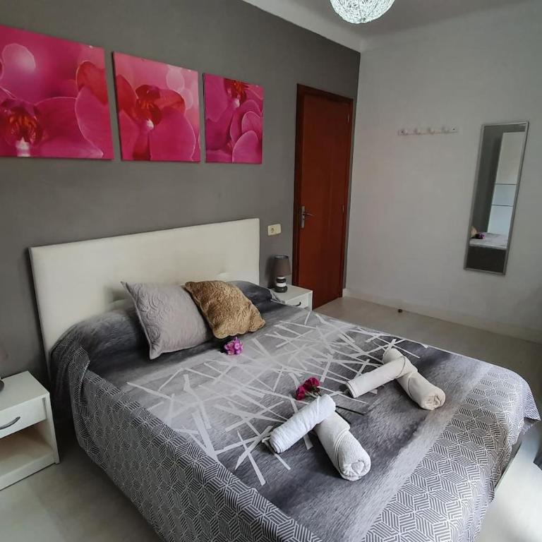 Villa Amapola Mallorca - Alcúdia - Villa - 31