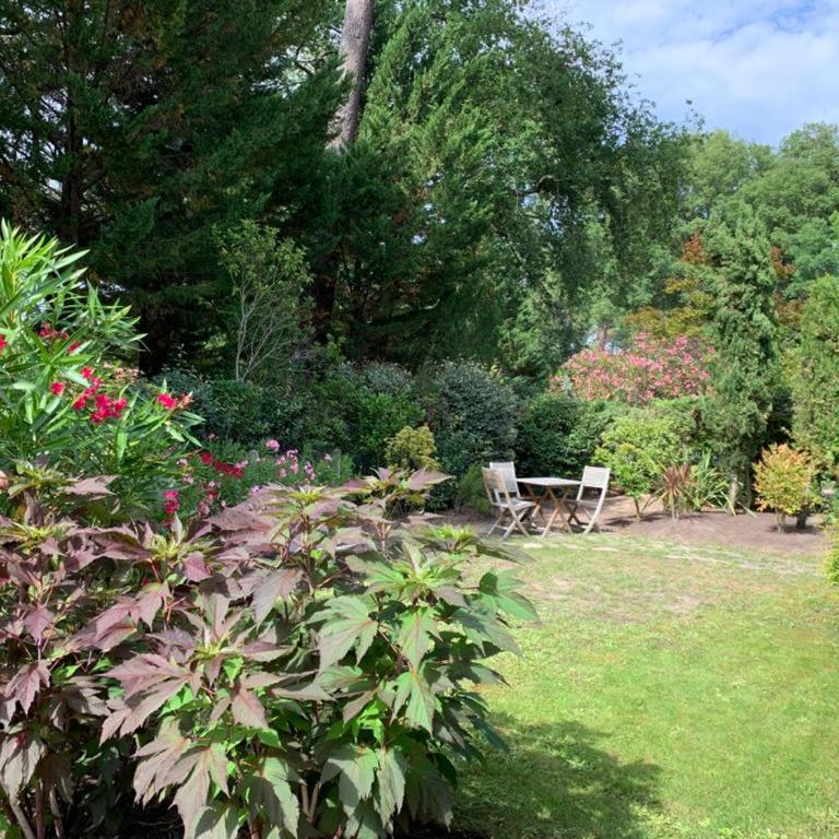 Villa élégante, jardin bucolique, proche golf & plages, 4 étoiles - FR-1-239-698 - Maison 3 Chambres - 25