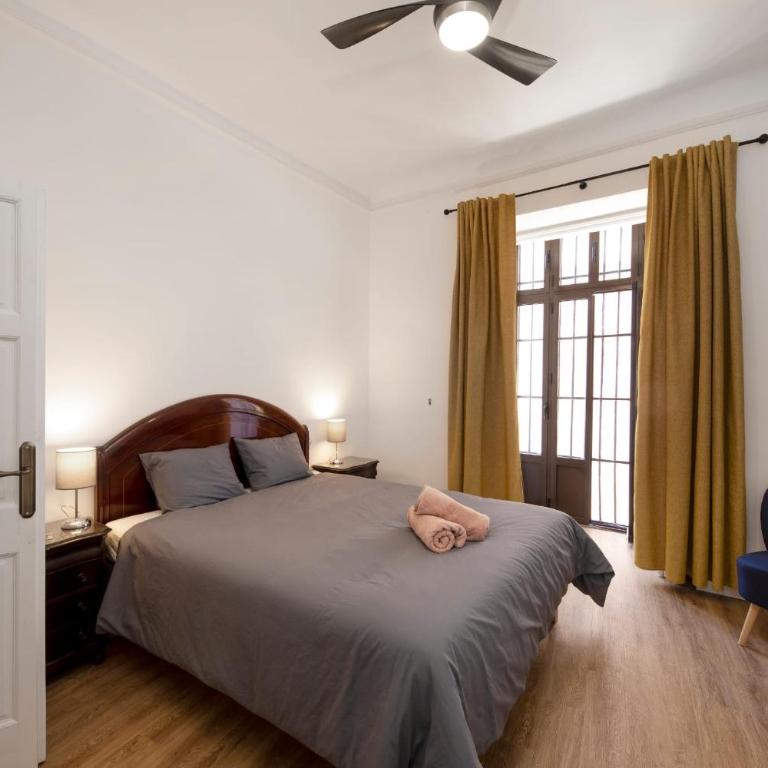 PALACIO DON CARLOS - Apartamento Estándar - 10