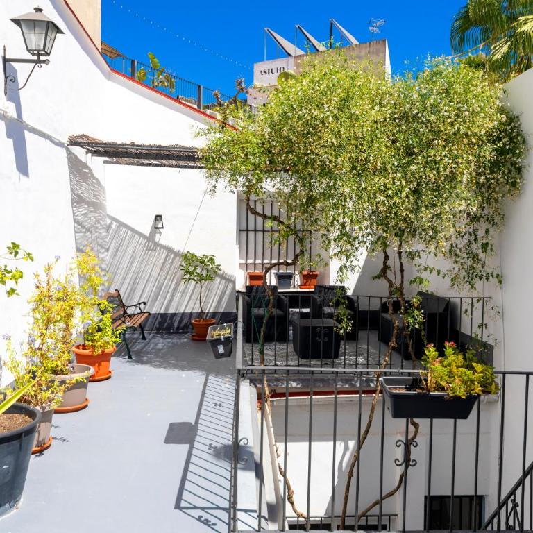PALACIO DON CARLOS - Apartamento Superior - 13
