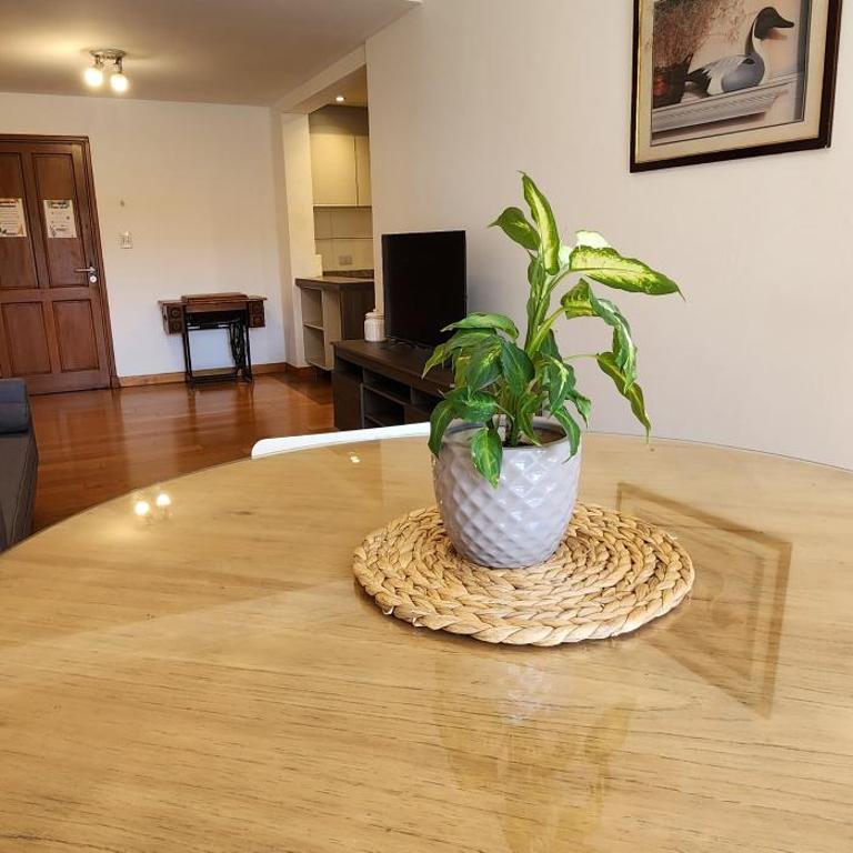 Gran departamento centrico - Apartamento de 2 dormitorios - 23