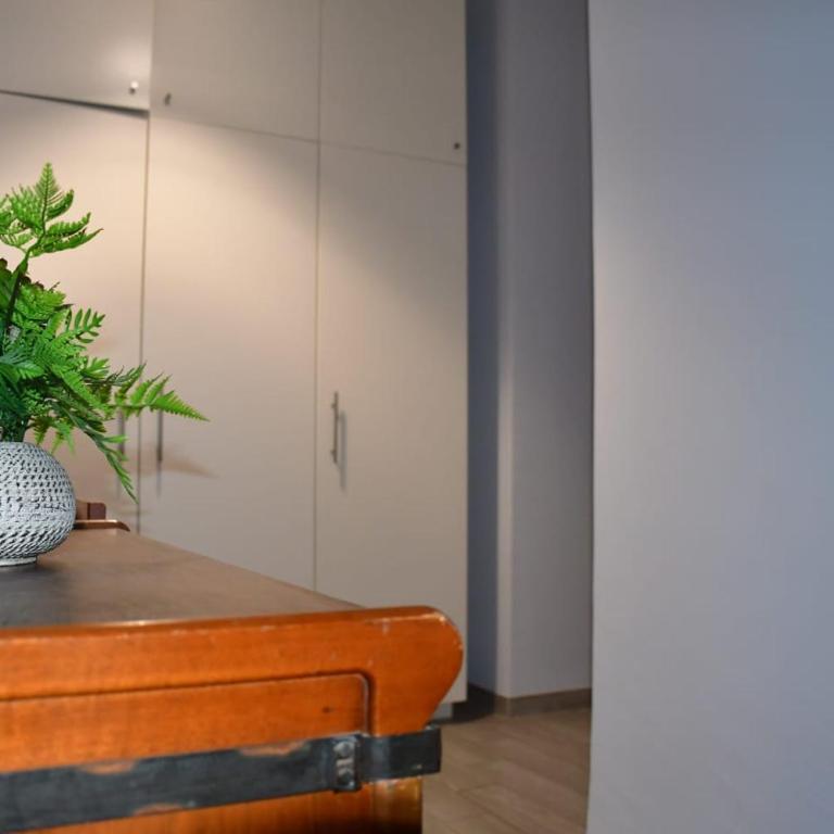 Casa Olimpo - One-Bedroom Apartment - 11