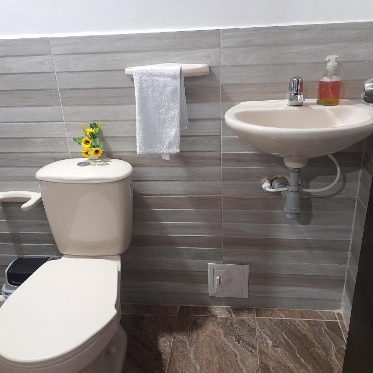apartaestudios el jardin 2 - Estudio - 11