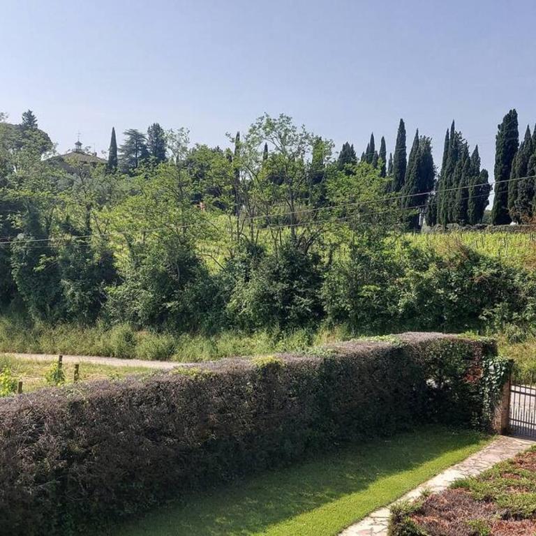 Il Tiglio Bianco - Casa con 2 Camere da Letto - 25