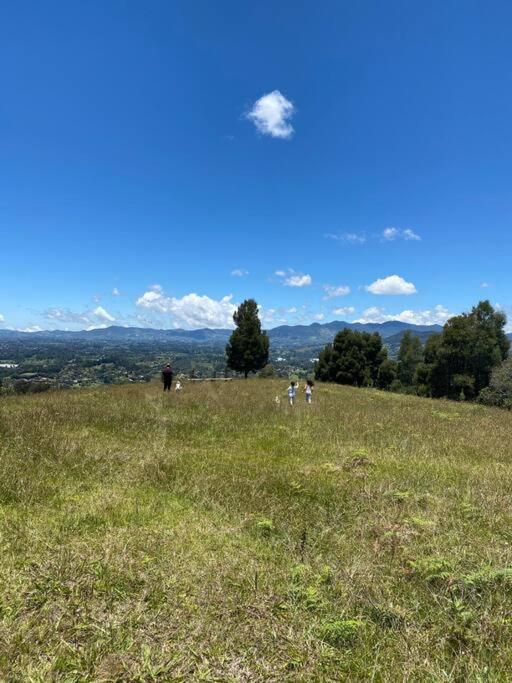 LAS NUBES - Donde la energía fluye, el alma se cura - Chalet de 3 dormitorios - 42