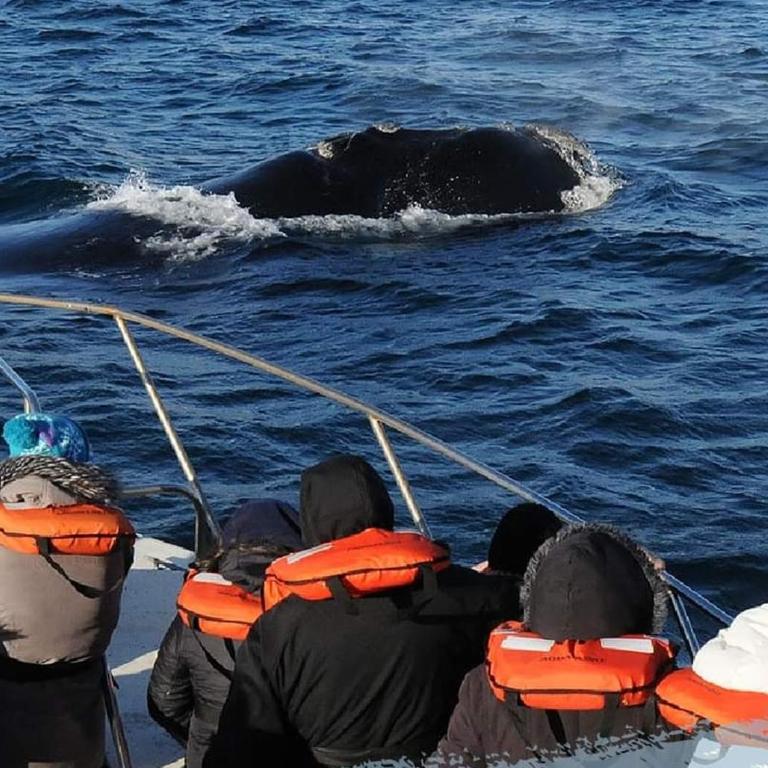 Cerca del Mar - Apartamento de 1 dormitorio - 3