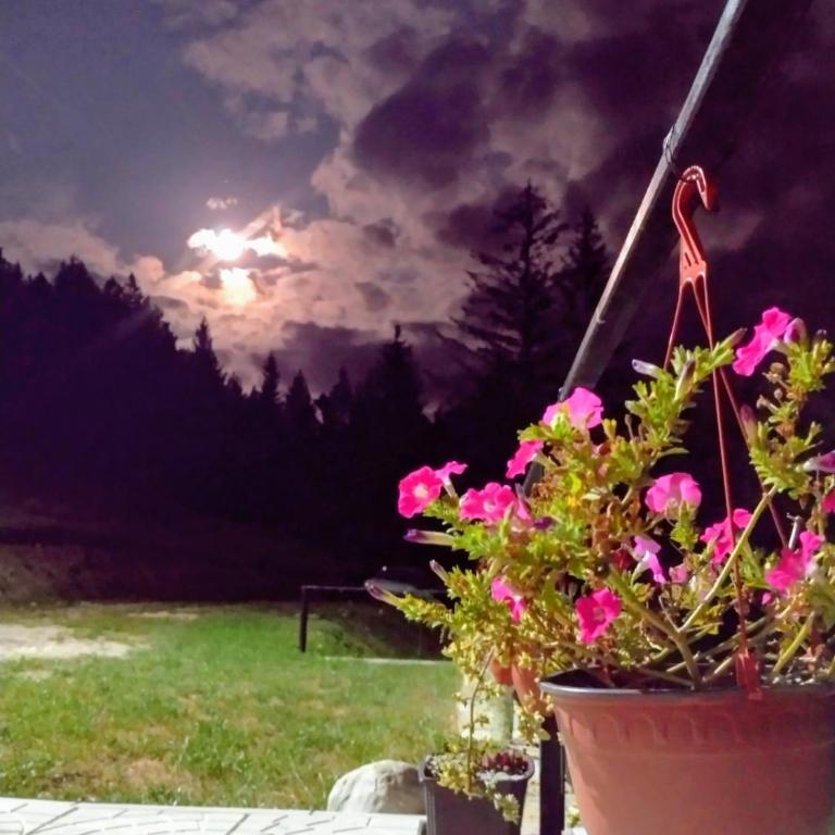 Zaovinska Panorama I - Apartman sa 1 Spavaćom Sobom - 30