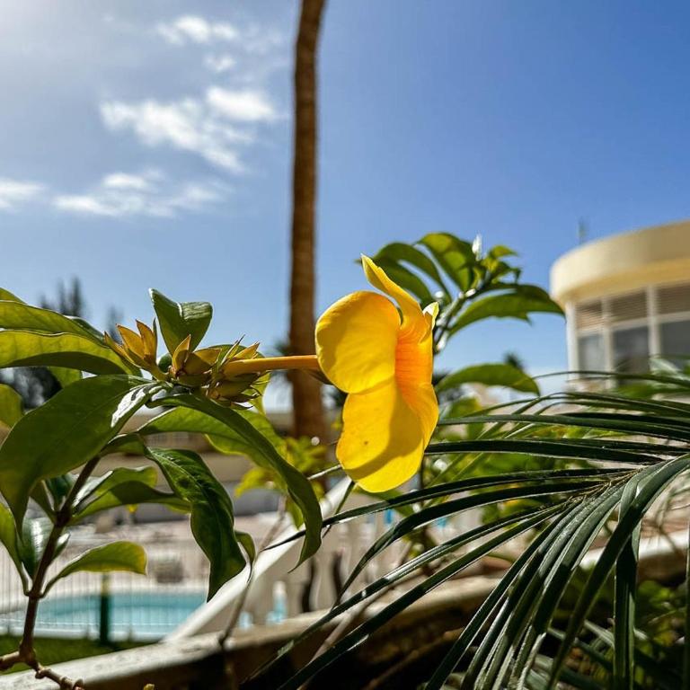 Apartamento cerca de la playa - Apartamento de 2 dormitorios - 23