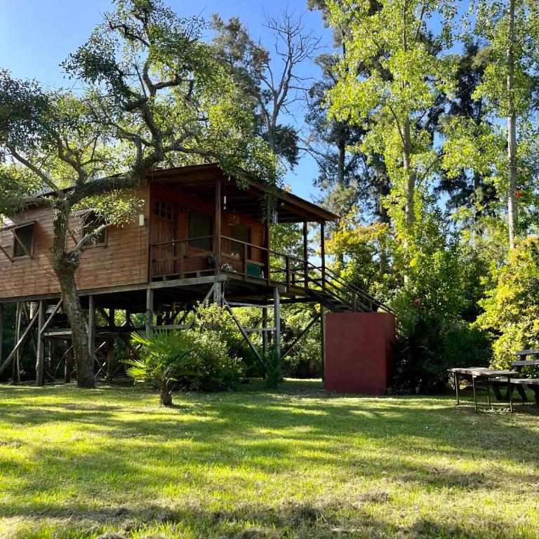 Cabaña en Isla del Delta de Tigre - LA CALMA - Chalet - 55