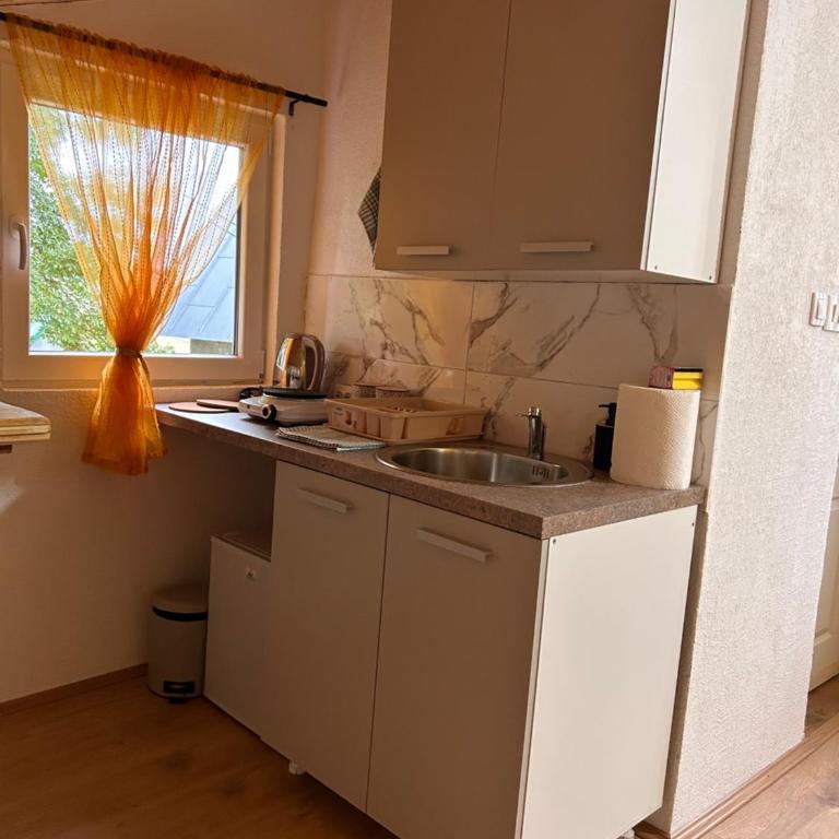 Apartments Javorje Zabljak - Studio - 9