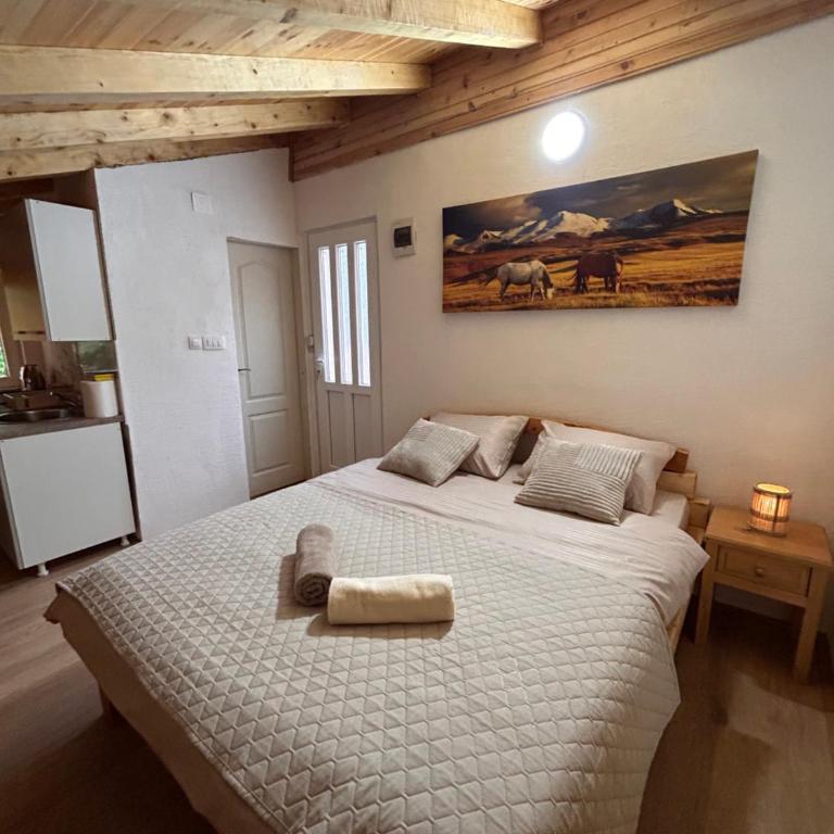 Apartments Javorje Zabljak - Studio - 5