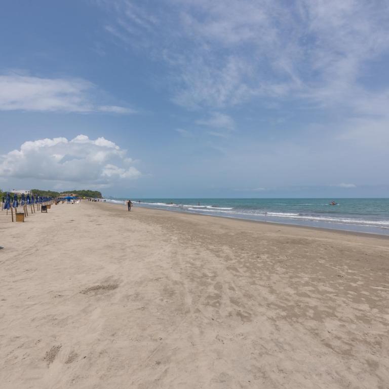 Lujoso Apartamento Con Salida Directa A La Playa Edificio Morros Eco - Apartamento de 2 dormitorios - 20