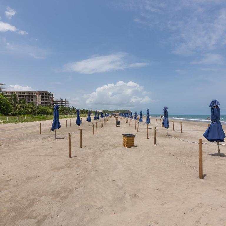 Lujoso Apartamento Con Salida Directa A La Playa Edificio Morros Eco - Apartamento de 2 dormitorios - 26