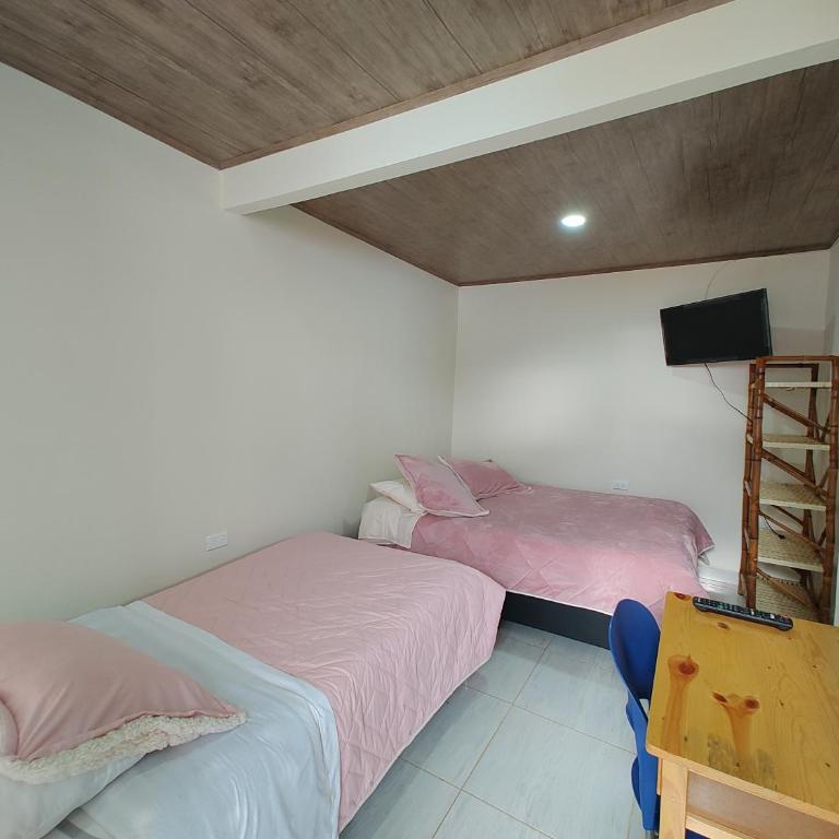 Hospedaje Las Golondrinas - Tibirita, Cundinamarca - Habitación Doble con vistas a la montaña - 1 o 2 camas - 1