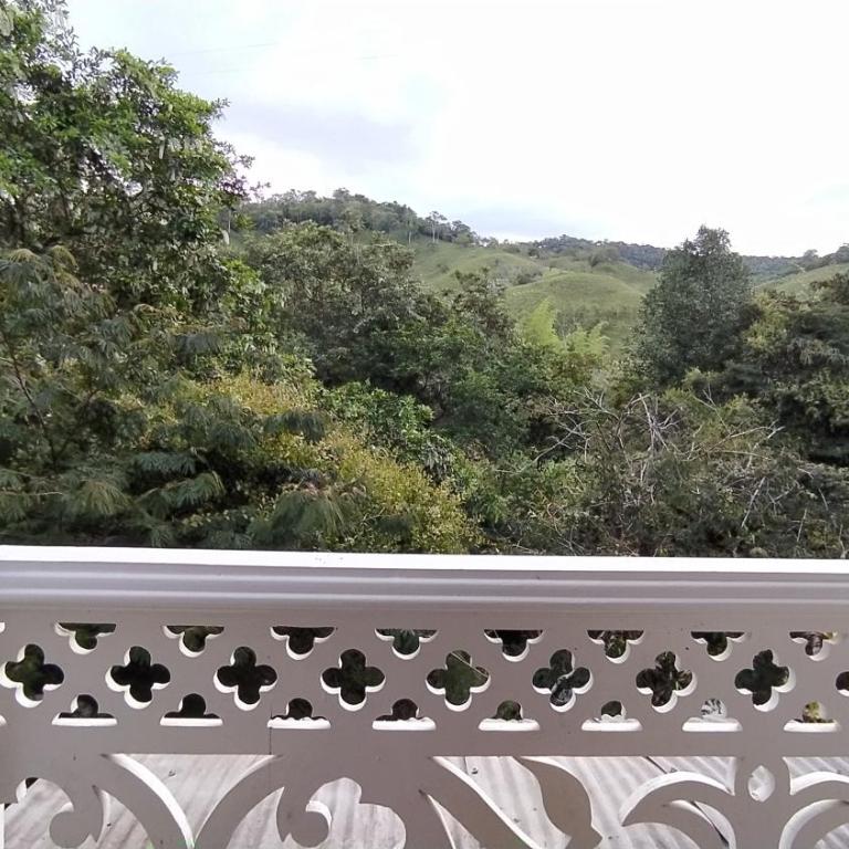 Hostal Vista Hermosa - Double Room with Mountain View - 4