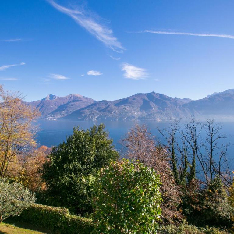 Veranda di Menaggio - Apartment - Ground Floor - 3
