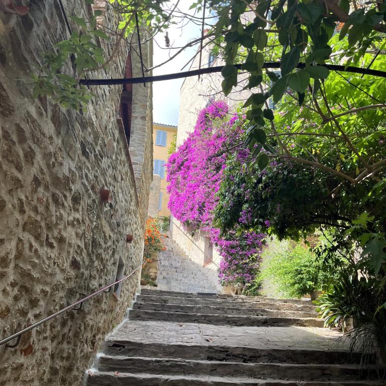 La Recampado - Maison 1 Chambre - 46