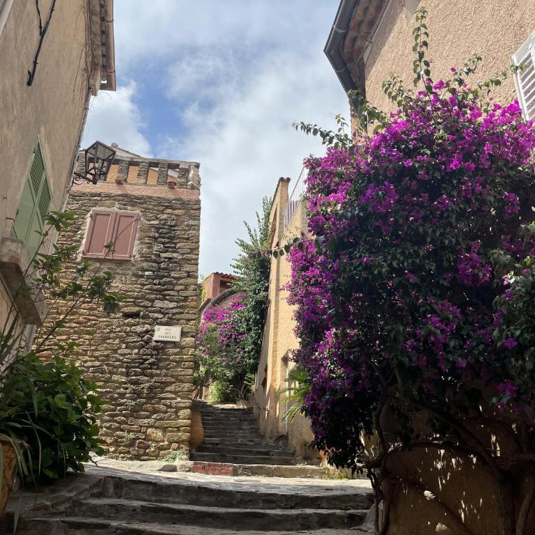 La Recampado - Maison 1 Chambre - 42