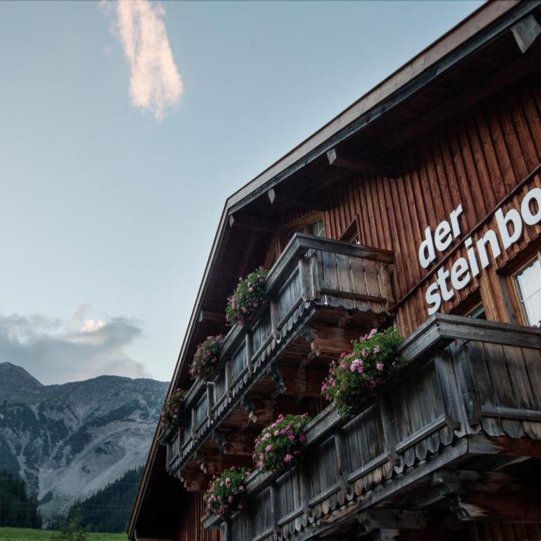 Chalet Hildegard der Steinbock Sommerwohnung Winterferienhaus - Apartment mit 2 Schlafzimmern - 12