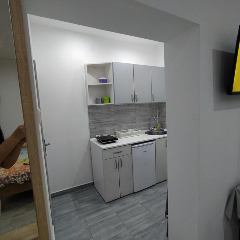 Pavicevic - One-Bedroom Apartment - 10