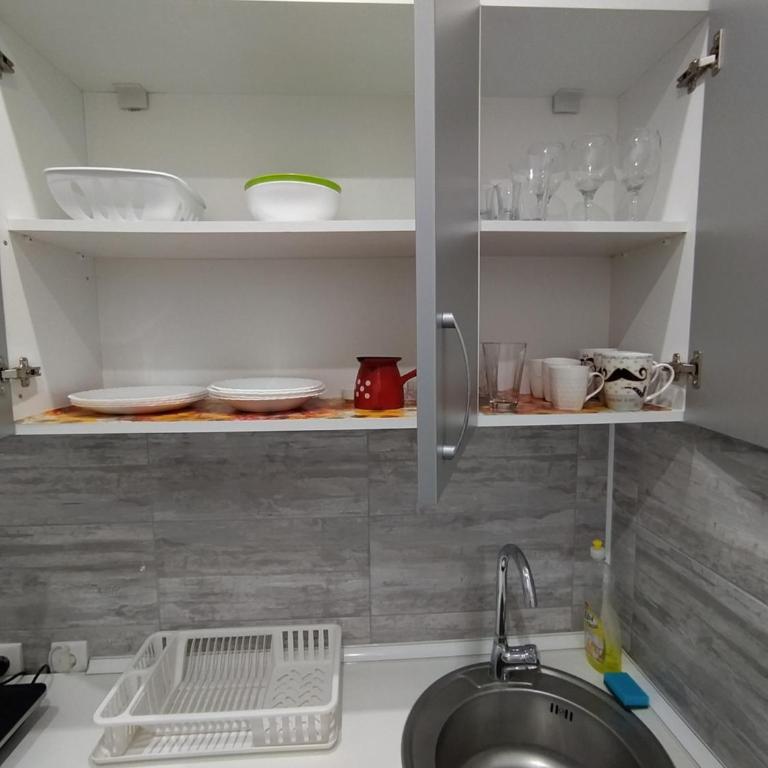 Pavicevic - One-Bedroom Apartment - 9