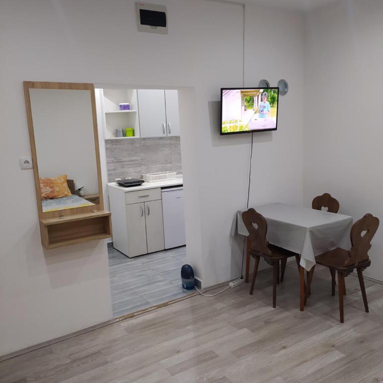 Pavicevic - One-Bedroom Apartment - 11
