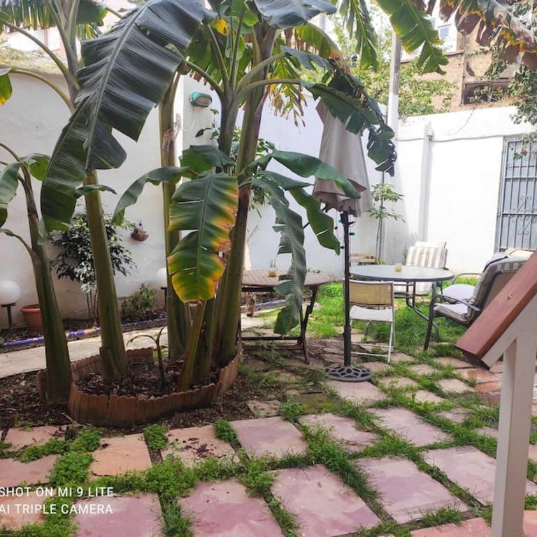 Precioso apartamento con a/a en Ruzafa con terracita privada y acceso a un jardín, para 2-3 personas - One-Bedroom Apartment - 19