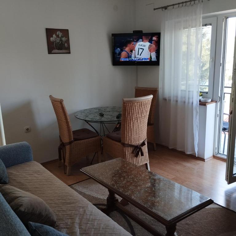 Apartman Sokobanja Borići - Apartment with Terrace - 15