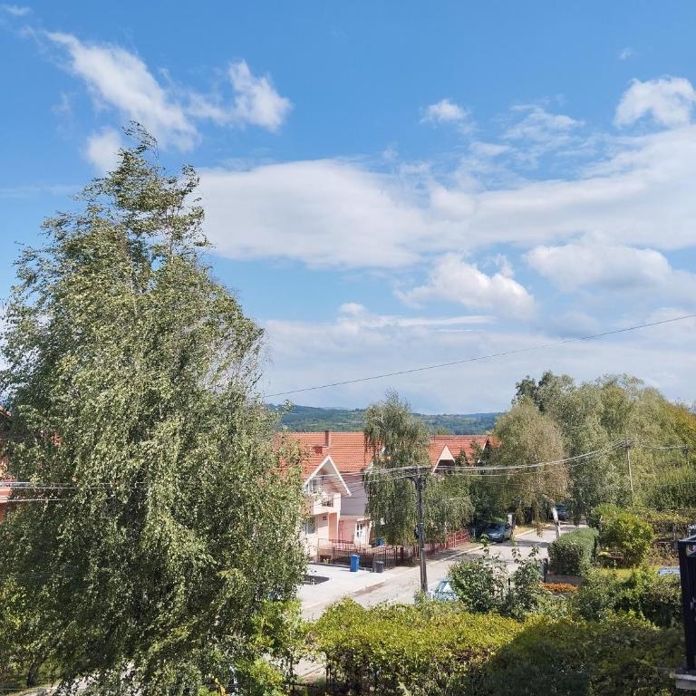 Apartman Sokobanja Borići - Apartment with Terrace - 11