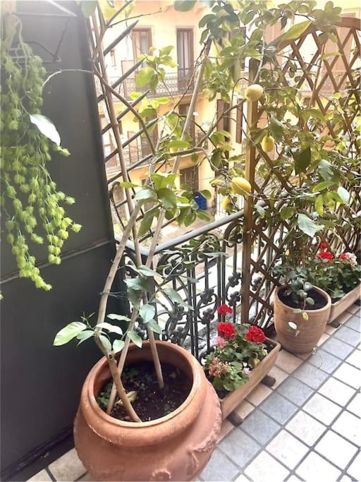 Casa dell'Inno di Mameli - Two-Bedroom Apartment - 14