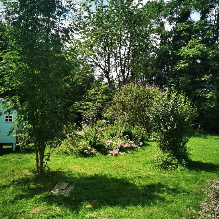Cosy room in the nature - Appartamento con 1 Camera da Letto - 10