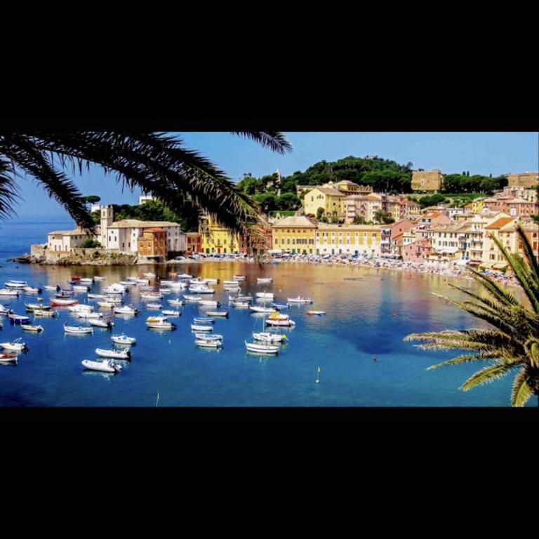 Baia del silenzio Best relax - Appartamento con 1 Camera da Letto - 22