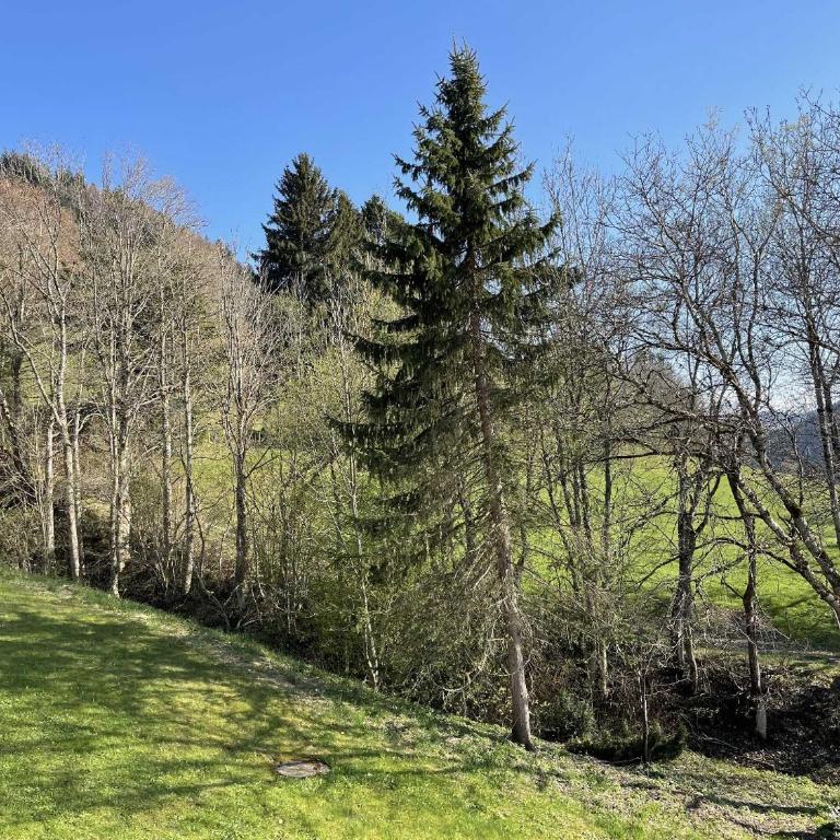 Fewo Ferienpark mit Swimmingpool und Aussicht 15 - Apartment mit Balkon - 9 - 4