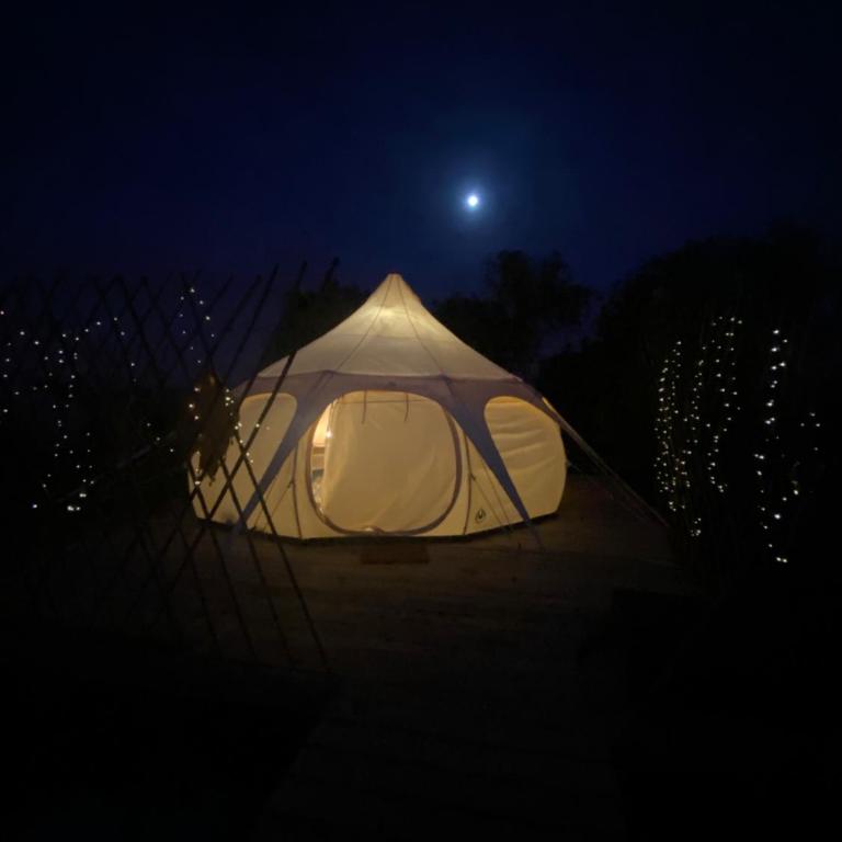 La Colmena Glamping - Tent - 6